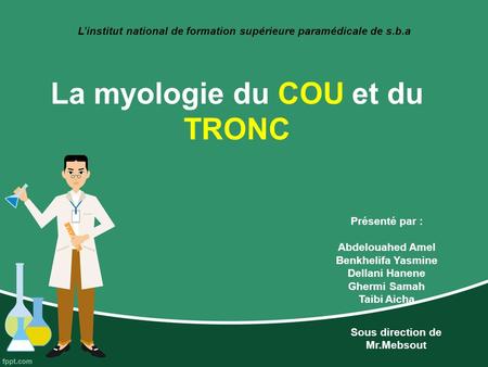 L’institut national de formation supérieure paramédicale de s.b.a La myologie du COU et du TRONC Présenté par : Abdelouahed Amel Benkhelifa Yasmine Dellani.