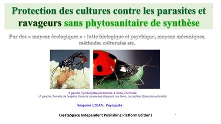 Protection des cultures contre les parasites et ravageurs sans phytosanitaire de synthèse 1 Par des « moyens écologiques » : lutte biologique et psychique,