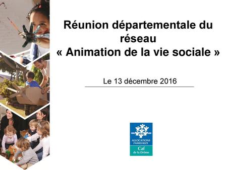 Réunion départementale du réseau « Animation de la vie sociale »