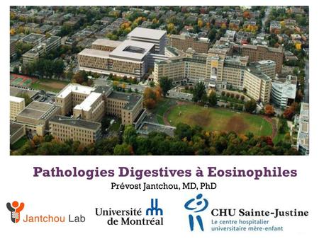 Pathologies Digestives à Eosinophiles