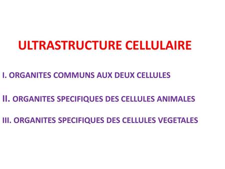 ULTRASTRUCTURE CELLULAIRE I. ORGANITES COMMUNS AUX DEUX CELLULES II