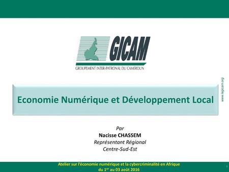 Economie Numérique et Développement Local