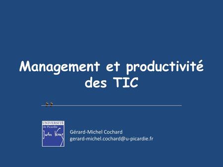 Management et productivité des TIC