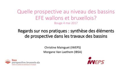 Christine Mainguet (IWEPS) Morgane Van Laethem (IBSA)