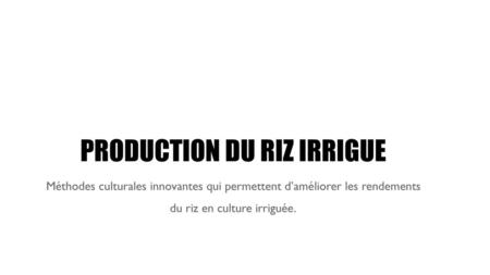 PRODUCTION DU RIZ IRRIGUE Méthodes culturales innovantes qui permettent d’améliorer les rendements du riz en culture irriguée.