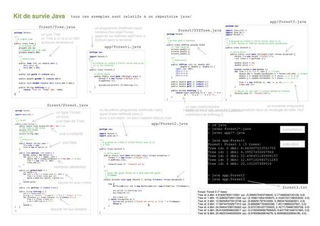 Kit de survie Java tous ces exemples sont relatifs à un répertoire java/ app/Forest3.java forest/Tree.java un programme (méthode main) création d'un objet.