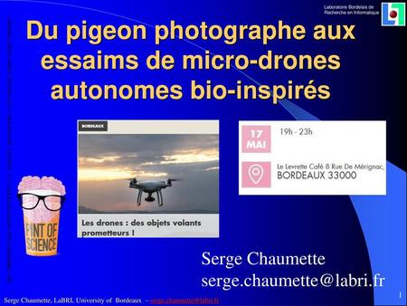 Du pigeon photographe aux essaims de micro-drones autonomes bio-inspirés Serge Chaumette serge.chaumette@labri.fr.