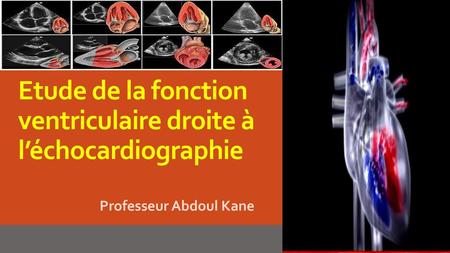 Etude de la fonction ventriculaire droite à l’échocardiographie