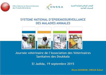 SYSTEME NATIONAL D’EPIDEMIOSURVEILLANCE Ilham AHAMJIK, ONSSA-Rabat