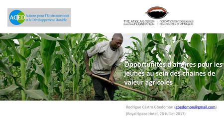 Opportunités d’affaires pour les jeunes au sein des chaines de valeur agricoles Rodrigue Castro Gbedomon (gbedomon@gmail.com) (Royal Space Hotel, 28 Juillet.