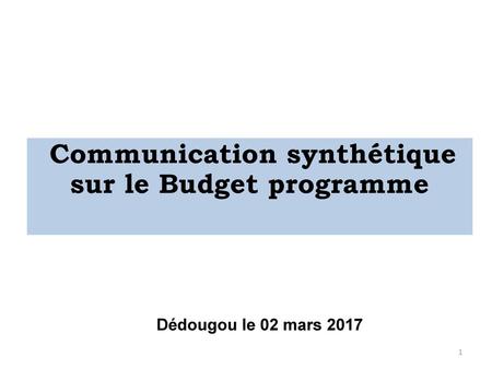 Communication synthétique sur le Budget programme