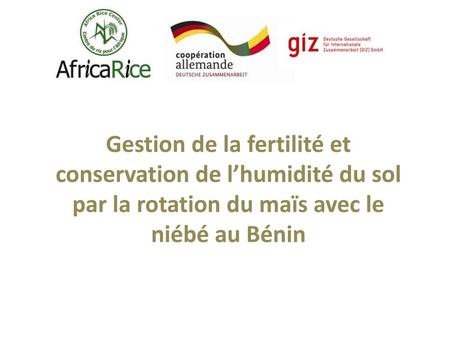 Gestion de la fertilité et conservation de l’humidité du sol par la rotation du maïs avec le niébé au Bénin.