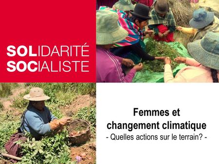 Femmes et changement climatique - Quelles actions sur le terrain? -