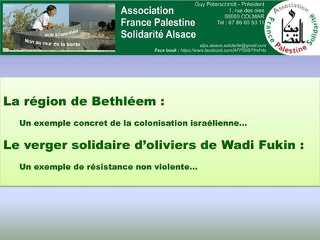 Le verger solidaire d’oliviers de Wadi Fukin :