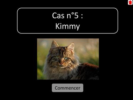 Cas n°5 : Kimmy Commencer.