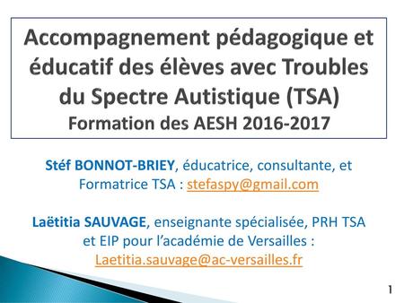 Accompagnement pédagogique et éducatif des élèves avec Troubles du Spectre Autistique (TSA) Formation des AESH 2016-2017 Stéf BONNOT-BRIEY, éducatrice,