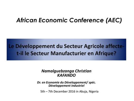 African Economic Conference (AEC)