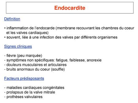 Endocardite Définition