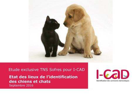 Etude exclusive TNS Sofres pour I-CAD Etat des lieux de l’identification des chiens et chats Septembre 2016.