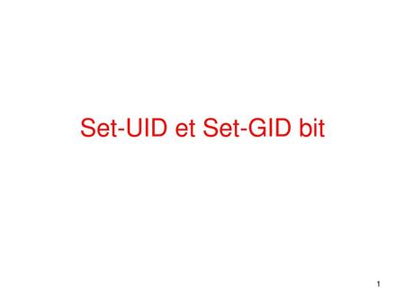 Set-UID et Set-GID bit.