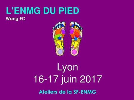 L’ENMG DU PIED Wang FC Lyon 16-17 juin 2017 Ateliers de la SF-ENMG.