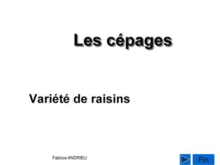 Les cépages Variété de raisins Fabrice ANDRIEU Fin.