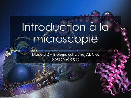 Introduction à la microscopie