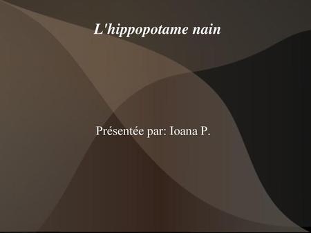 L'hippopotame nain Présentée par: Ioana P..