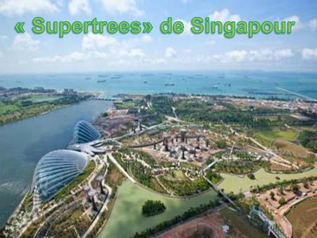 « Supertrees» de Singapour