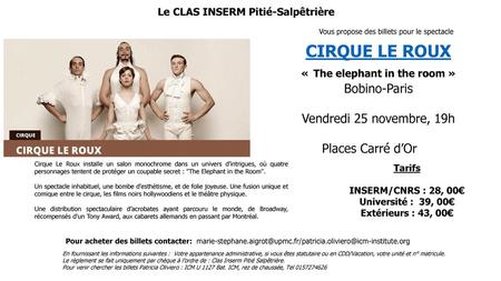 CIRQUE LE ROUX « The elephant in the room »