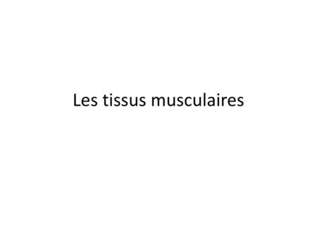 Les tissus musculaires