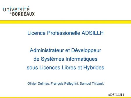 Licence Professionelle ADSILLH