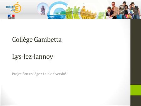 Collège Gambetta Lys-lez-lannoy