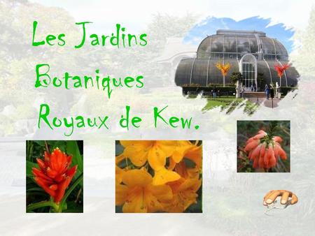 Les Jardins Botaniques Royaux de Kew..