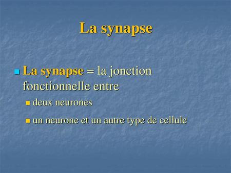 La synapse La synapse = la jonction fonctionnelle entre deux neurones