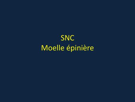 SNC Moelle épinière.