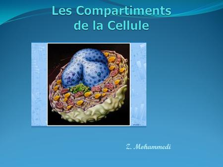 Z. Mohammedi. Le compartiment UN compartiment Cellulaire est une structure sub-cellulaire (ou organite) isolée du reste du cytoplasme par une ou deux.