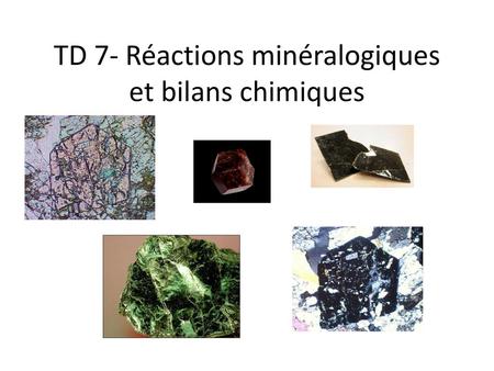 TD 7- Réactions minéralogiques et bilans chimiques