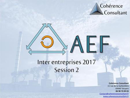 AEF Inter entreprises 2017 Session 2 Cohérence Consultant