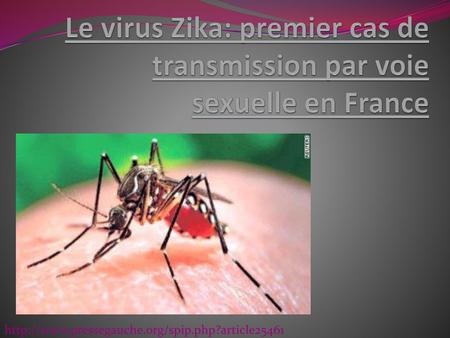 Le virus Zika: premier cas de transmission par voie sexuelle en France
