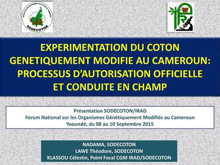 EXPERIMENTATION DU COTON GENETIQUEMENT MODIFIE AU CAMEROUN: PROCESSUS D’AUTORISATION OFFICIELLE ET CONDUITE EN CHAMP Présentation SODECOTON/IRAD Forum.