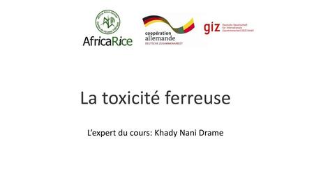 La toxicité ferreuse L’expert du cours: Khady Nani Drame