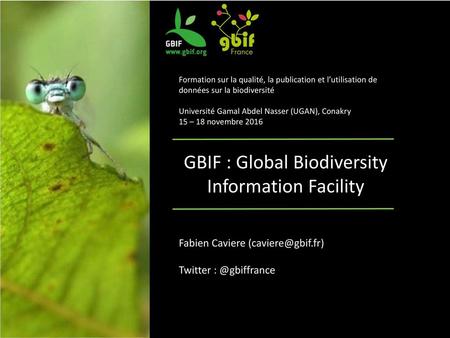 GBIF : Global Biodiversity Information Facility