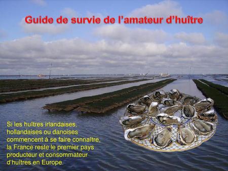 Guide de survie de l’amateur d’huître