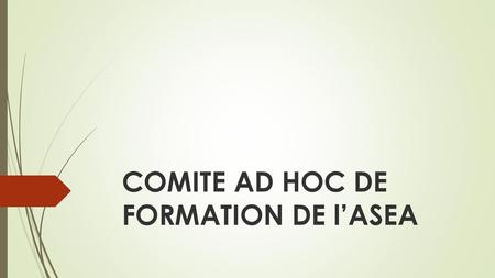 COMITE AD HOC DE FORMATION DE l’ASEA