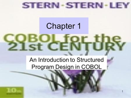 1 Chapter 1 An Introduction to Structured Program Design in COBOL.
