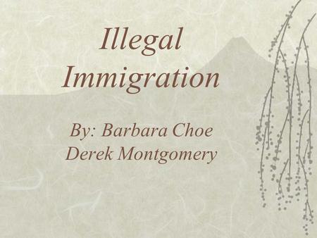 Illegal Immigration By: Barbara Choe Derek Montgomery.
