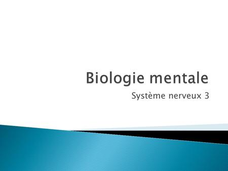 Biologie mentale Système nerveux 3.