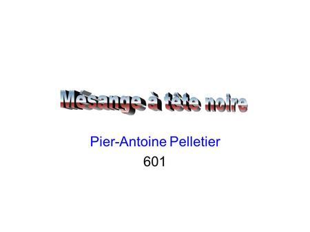 Pier-Antoine Pelletier 601