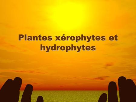 Plantes xérophytes et hydrophytes